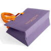 Foil Stamped Boutique Paper Gift Bag with Ribbon Handles